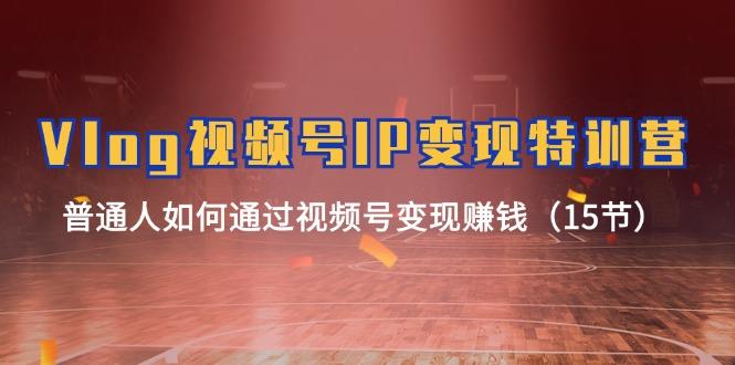 Vlog 视频号IP变现特训营，普通人如何通过视频号变现赚钱(15节-财虎网络科技