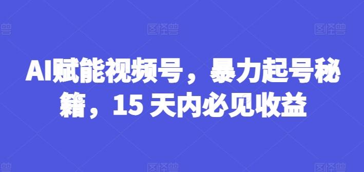 AI赋能视频号，暴力起号秘籍，15 天内必见收益【揭秘】-财虎网络科技
