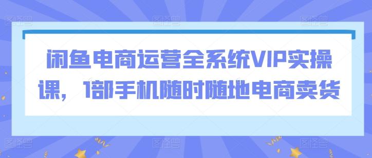 闲鱼电商运营全系统VIP实操课，1部手机随时随地电商卖货-财虎网络科技