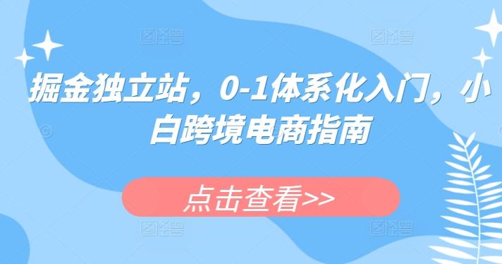 掘金独立站，0-1体系化入门，小白跨境电商指南-财虎网络科技