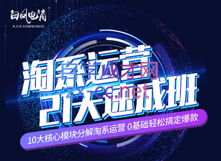 淘系运营21天速成班(更新24年5月)-财虎网络科技