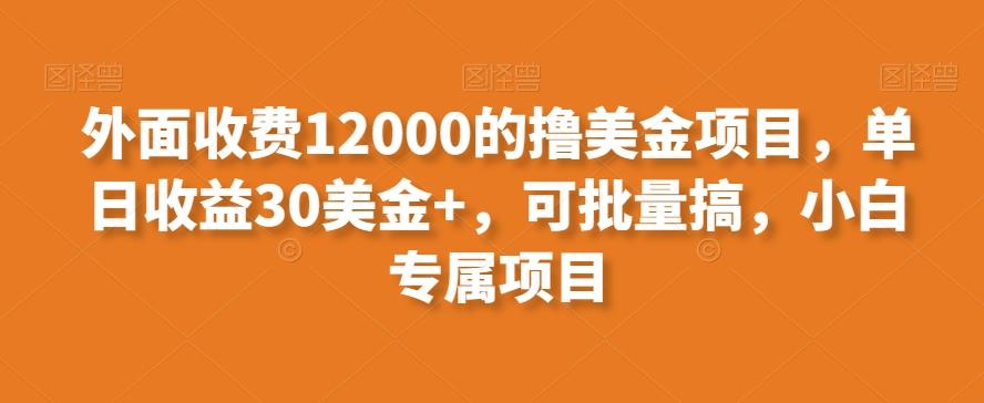 外面收费12000的撸美金项目，单日收益30美金+，可批量搞，小白专属项目-财虎网络科技