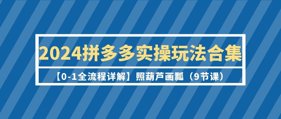(9559期)2024拼多多实操玩法合集【0-1全流程详解】照葫芦画瓢(9节课)-财虎网络科技