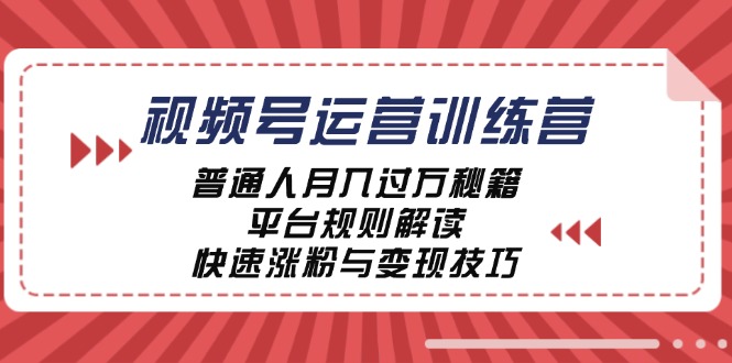 视频号运营训练营：普通人月入过万秘籍，平台规则解读，快速涨粉与变现-财虎网络科技