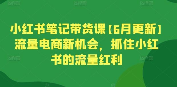 小红书笔记带货课【6月更新】流量电商新机会，抓住小红书的流量红利-财虎网络科技