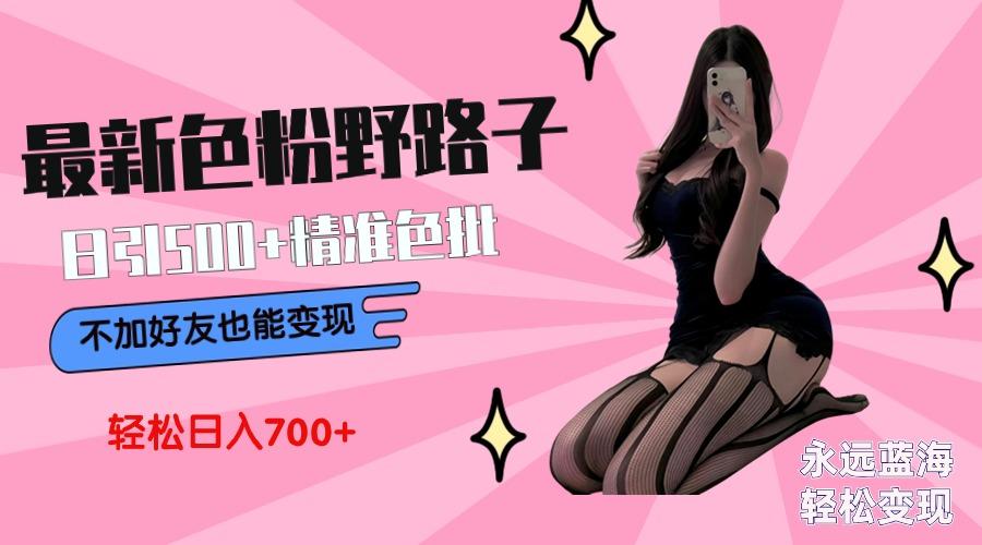 最新色粉变现野路子，日引500+老色批 可不加好友直接变现 小白轻松日入700+-财虎网络科技