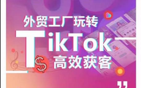 外贸工厂玩转TikTok高效获客，多种引流方式与账号定位技巧，拆解爆款短视频打造成功案例-财虎网络科技