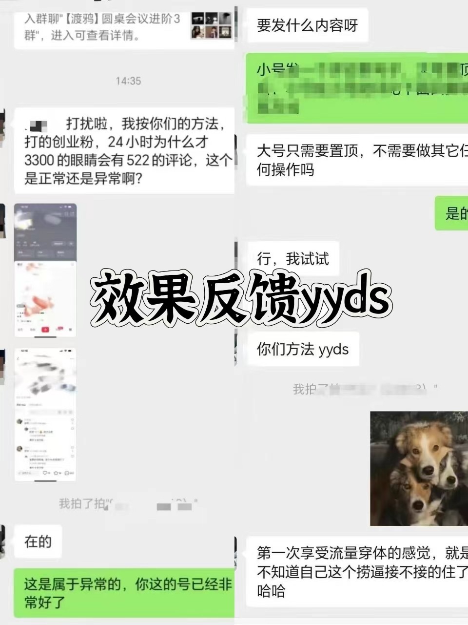 图片[3]-抖音小红书视频号全平台引流打法，全自动引流日引2000+精准客户-财虎网络科技