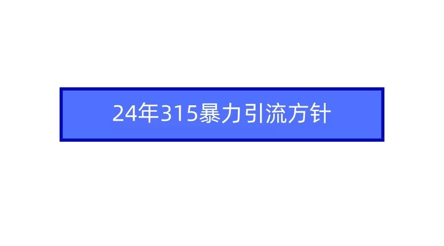 (9398期)2024年315暴力引流方针-财虎网络科技