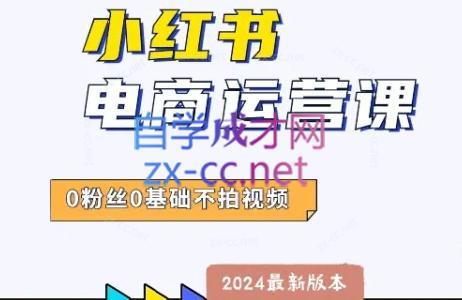 达哥·小红书电商运营(2024版)-财虎网络科技