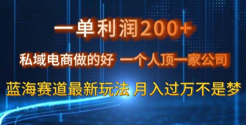 一单利润200私域电商做的好，一个人顶一家公司蓝海赛道最新玩法【揭秘】-财虎网络科技