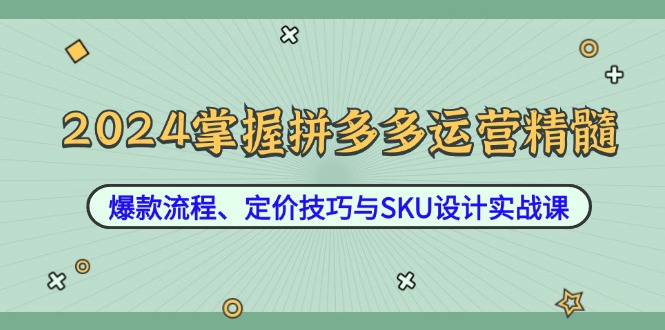 2024掌握拼多多运营精髓：爆款流程、定价技巧与SKU设计实战课-财虎网络科技