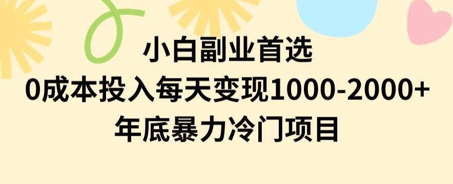 小白副业首选，0成本投入，每天变现1000-2000年底暴力冷门项目【揭秘】-财虎网络科技