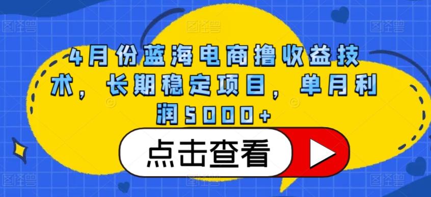 4月份蓝海电商撸收益技术，长期稳定项目，单月利润5000+【揭秘】-财虎网络科技