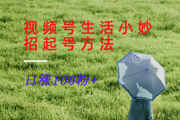 视频号生活小妙招分享赛道， 起号涨粉新方法，日涨100粉-财虎网络科技