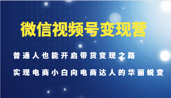 微信视频号变现营-普通人也能开启带货变现之路，实现电商小白向电商达人的华丽蜕变-财虎网络科技