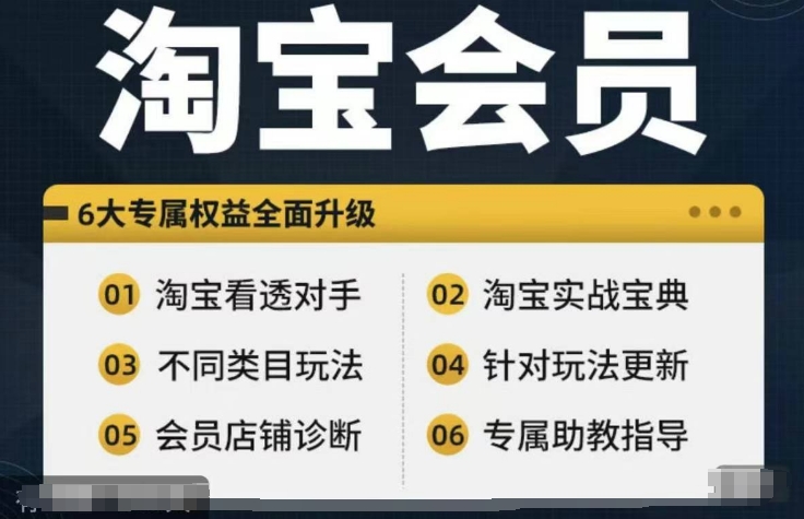淘宝会员【淘宝所有课程，全面分析对手】，初级到高手全系实战宝典-财虎网络科技