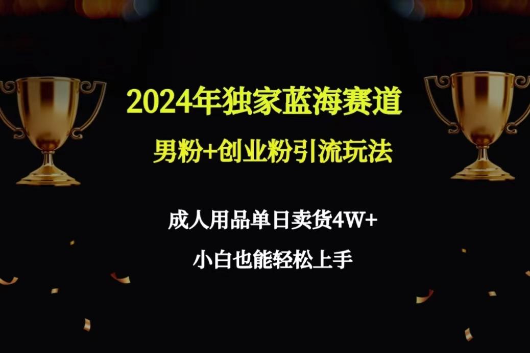 2024年独家蓝海赛道男粉+创业粉引流玩法，成人用品单日卖货4W+保姆教程-财虎网络科技