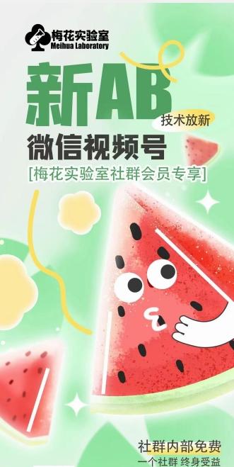 梅花实验室2024年AB技术视频号AB合成破解版-财虎网络科技