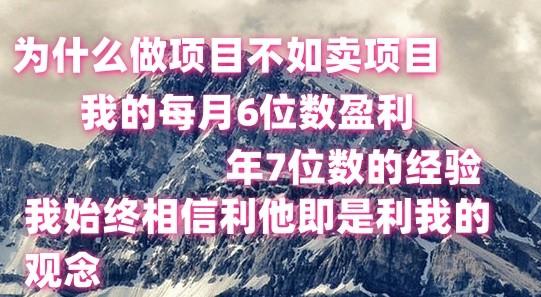 做项目不如卖项目，每月6位数盈利，年7位数经验-财虎网络科技