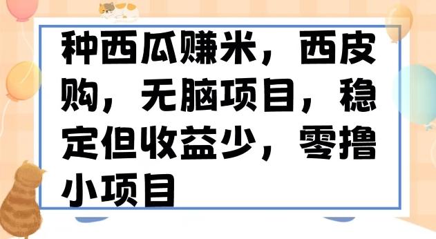 种西瓜赚米，西皮购稳定长久零撸小项目-财虎网络科技