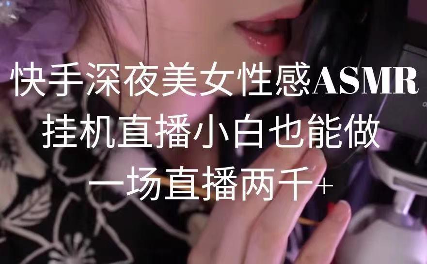 快手深夜美女性感ASMR挂机直播，小白也能做，一场直播两千+-财虎网络科技