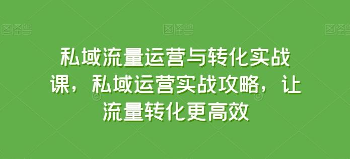 私域流量运营与转化实战课，私域运营实战攻略，让流量转化更高效-财虎网络科技
