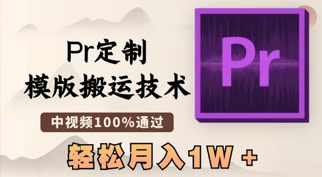 最新Pr定制模版搬运技术，中视频100%通过，几分钟一条视频，轻松月入1W＋【揭秘】-财虎网络科技