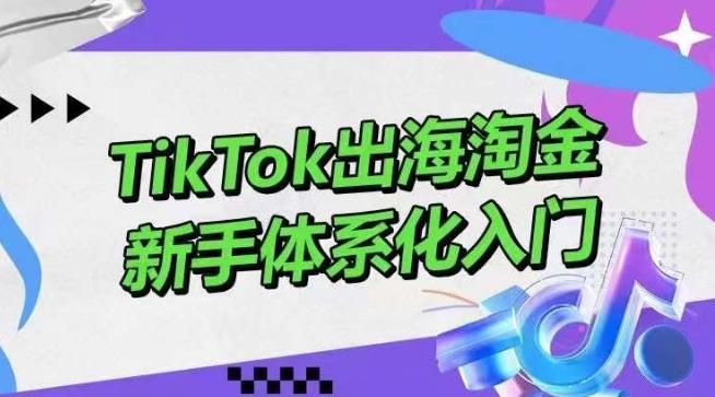 TikTok出海淘金，新手体系化入门，零基础快速入门，掌握短视频、直播带货等引流到变现的知识-财虎网络科技