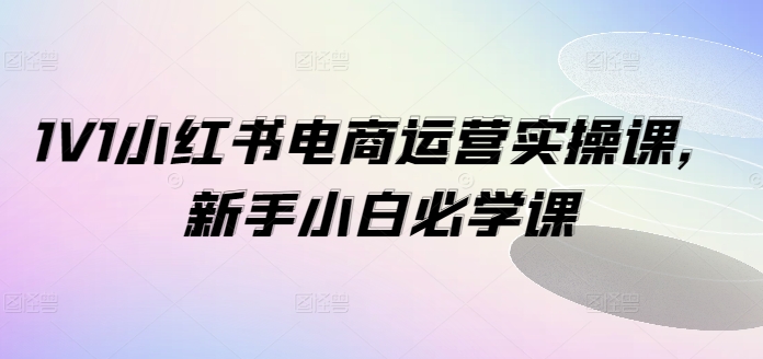 1V1小红书电商运营实操课，新手小白必学课-财虎网络科技