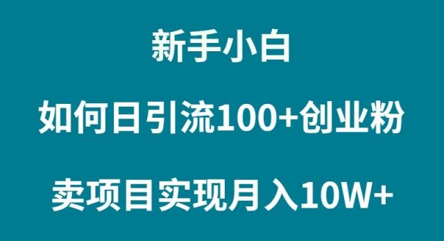 (9556期)新手小白如何通过卖项目实现月入10W+-财虎网络科技
