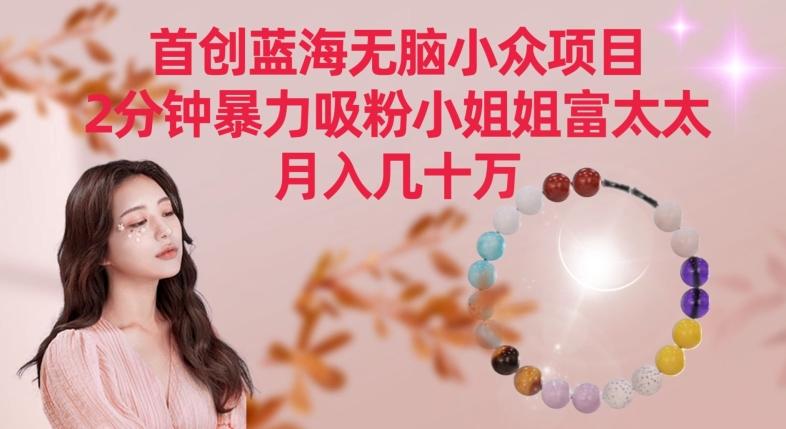 首创蓝海无脑小众项目，2分钟暴力吸粉小姐姐富太太，月入几十万【揭秘】-财虎网络科技