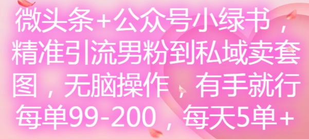 微头条+公众号小绿书，精准引流男粉到私域卖套图，无脑操作，有手就行，每单99-200，每天5单-财虎网络科技