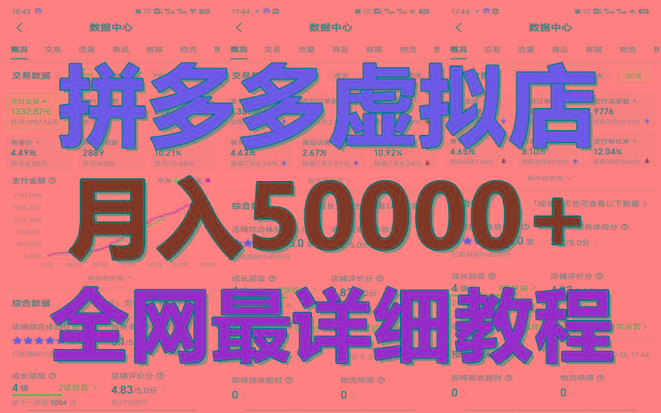 拼多多虚拟电商训练营月入50000+你也行，暴利稳定长久，副业首选-财虎网络科技