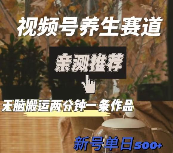 视频号养生赛道暴力掘金，无脑搬运，两分钟一条作品-新日单入500+-财虎网络科技