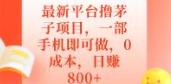 最新平台撸茅子项目，一部手机即可做，0成本，日赚800+-财虎网络科技