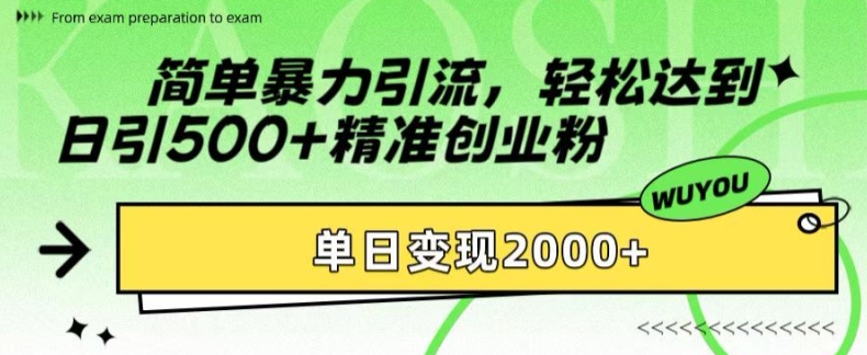 简单暴力引流，轻松达到日引500+精准创业粉，单日变现2k【揭秘】-财虎网络科技
