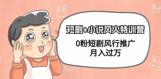 小说+短剧风火特训营，0粉短剧小说风行推广，实现月入过万-财虎网络科技